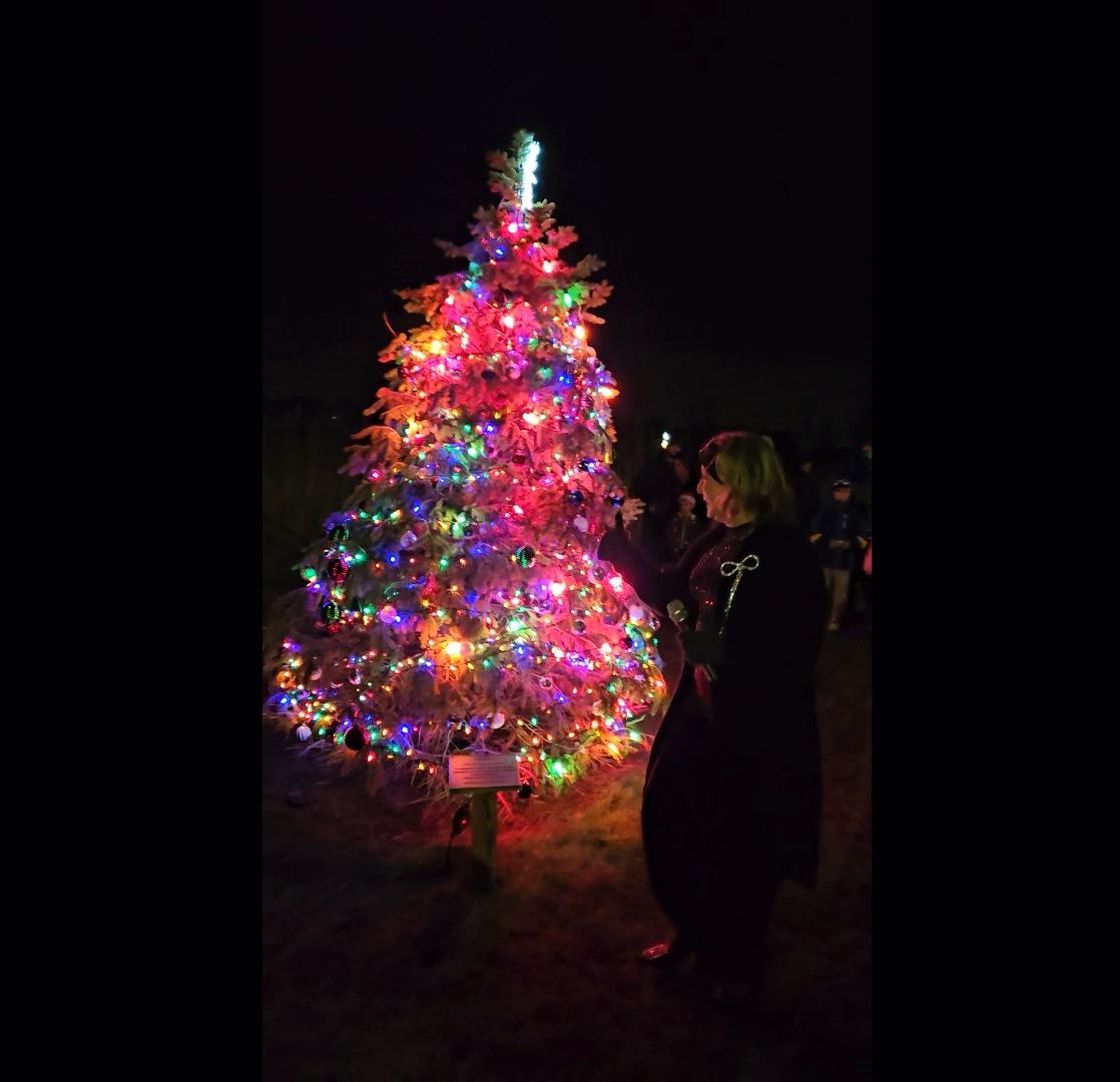 Screenshot_20250113_141010_Gallery