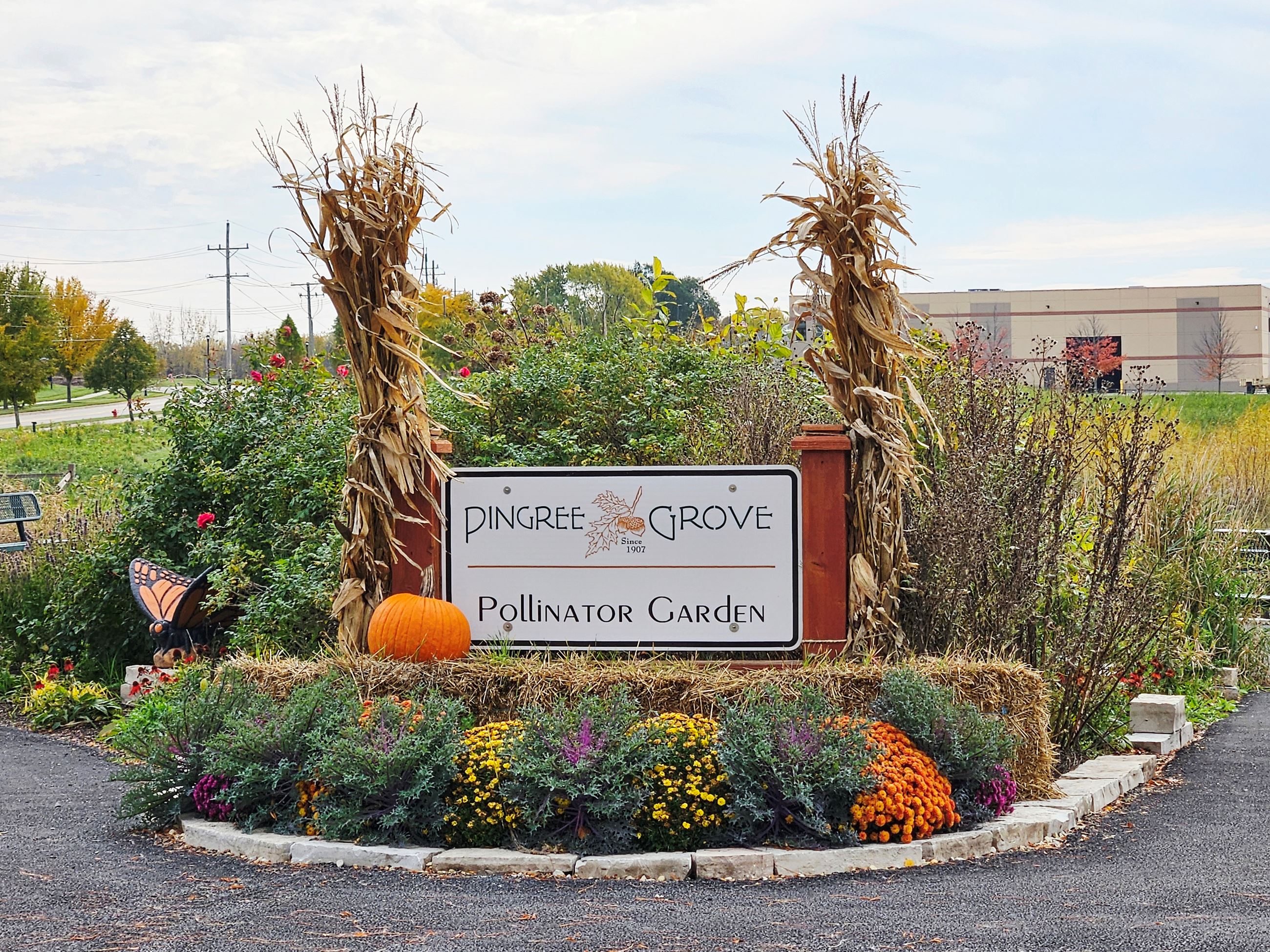 Pollinator Garden Marquee Fall Display